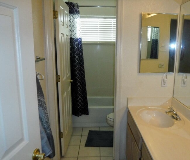 803 N Oracle Cir in Mesa, AZ - Building Photo - Building Photo