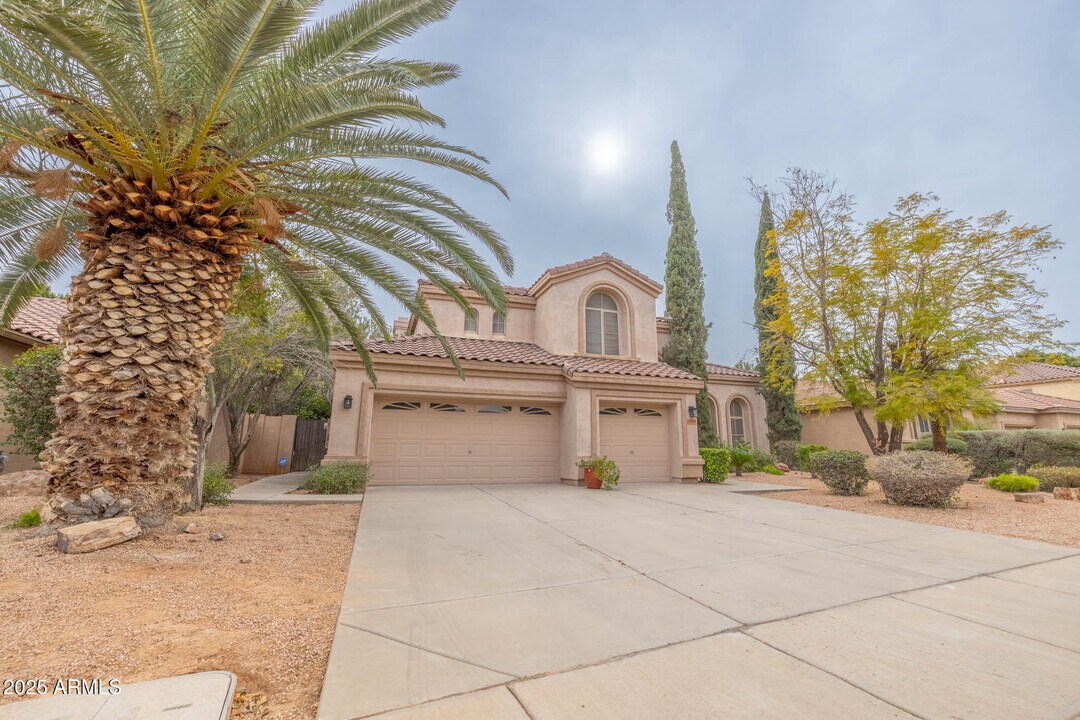 1153 W Windhaven Ave in Gilbert, AZ - Building Photo