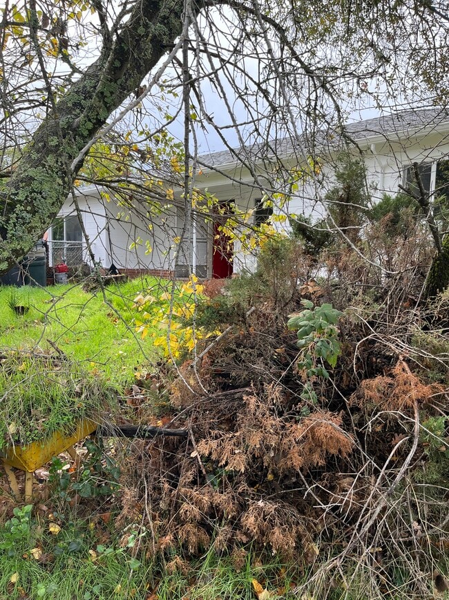 39A Stark Ln in Jackson, CA - Building Photo - Building Photo