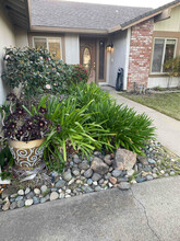 5905 Small Hill Ct in Citrus Heights, CA - Building Photo - Building Photo