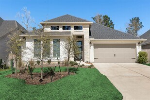 508 Stella Beth Way in Montgomery, TX - Building Photo