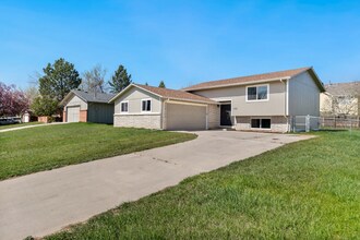 1101 Timber Ln in Fort Collins, CO - Building Photo - Building Photo