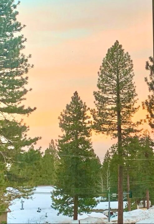 872 Tanager St, Unit 872 Tanager in Incline Village, NV - Building Photo