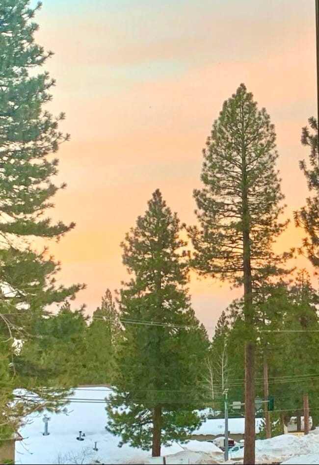 872 Tanager St, Unit 872 Tanager