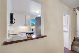 844 Reichert Ave in Novato, CA - Foto de edificio - Building Photo