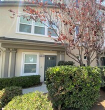 3011 Pacific Palm Way in San Diego, CA - Building Photo - Building Photo