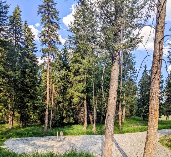 121 Wilderness Trail in Kila, MT - Building Photo - Building Photo
