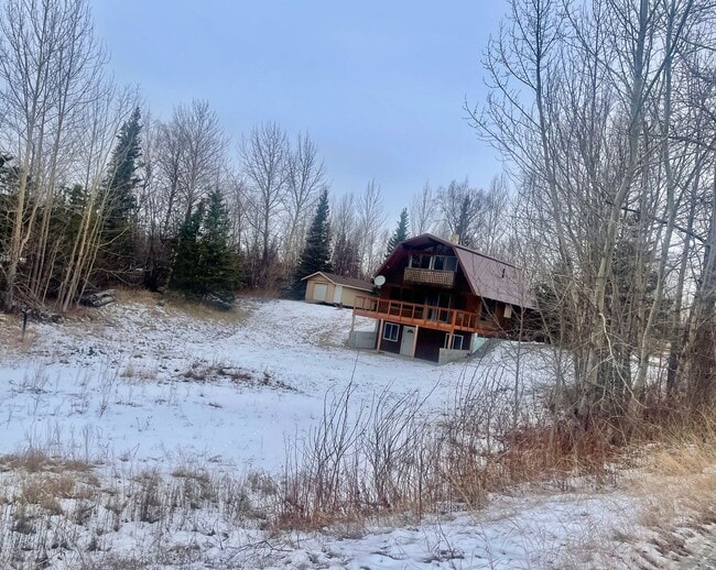 780 N Esty Dr in Palmer, AK - Building Photo - Building Photo