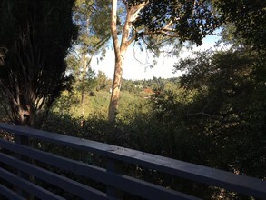 16806 Mooncrest Dr in Encino, CA - Building Photo - Building Photo