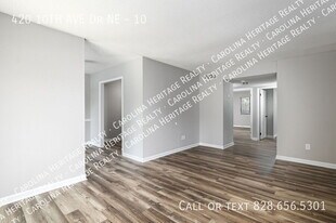 420 10th Ave Dr NE in Hickory, NC - Building Photo