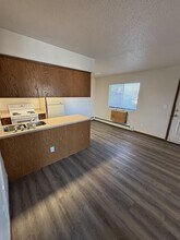 619 S Johnson St in Iowa City, IA - Building Photo - Building Photo