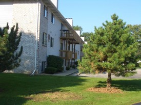 1007 Arlene Apartments