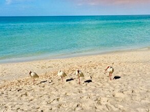 519 Roma Ct in Naples, FL - Foto de edificio - Building Photo