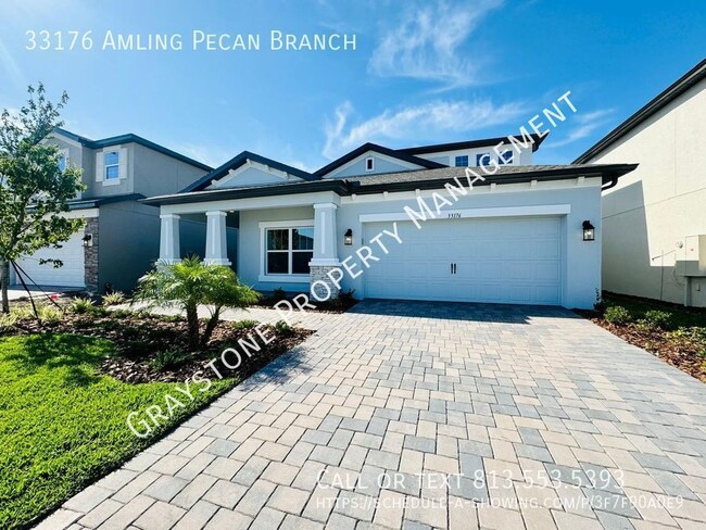 33176 Amling Pecan Br in Wesley Chapel, FL - Building Photo - Building Photo