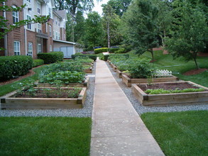 The Gables at Druid Hills Senior Apartments in Charlotte, NC - Foto de edificio - Building Photo