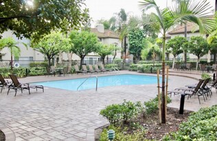 26504 Verdugo in Mission Viejo, CA - Building Photo