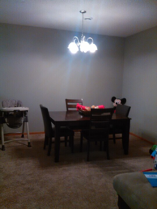 13040 Europa Trail Way N in Hugo, MN - Building Photo