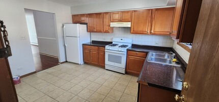 9290 Hamilton Ct in Des Plaines, IL - Building Photo - Building Photo