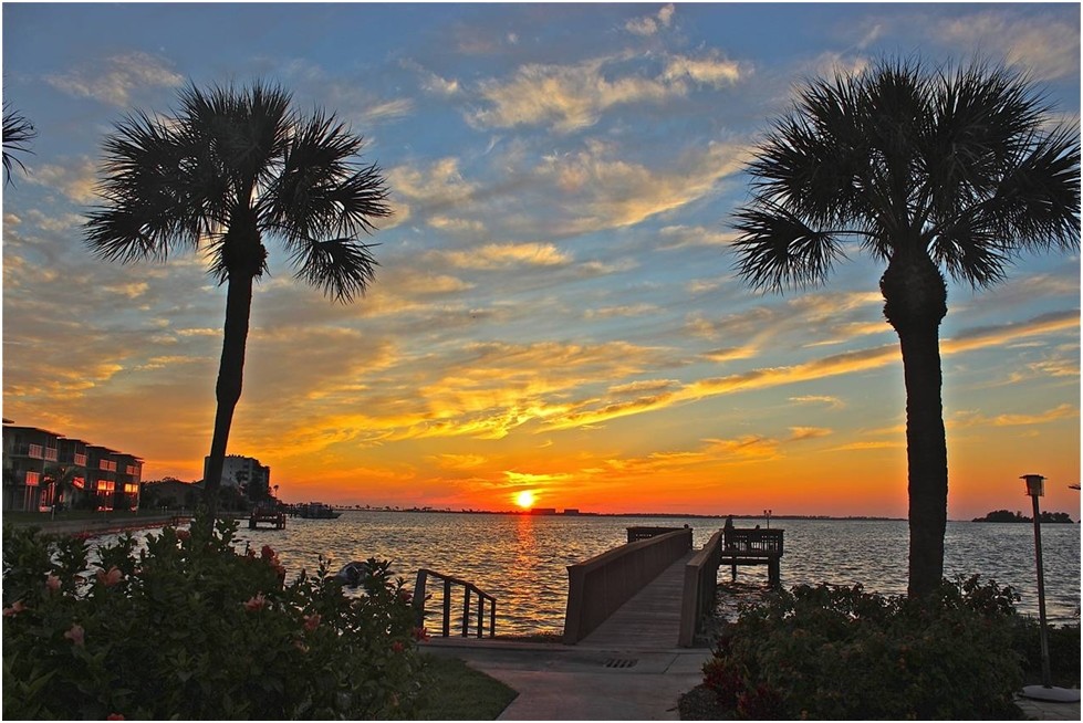 Scottish Towers II in Dunedin, FL - Building Photo