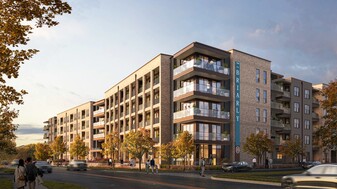 The Briarly in Houston, TX - Building Photo