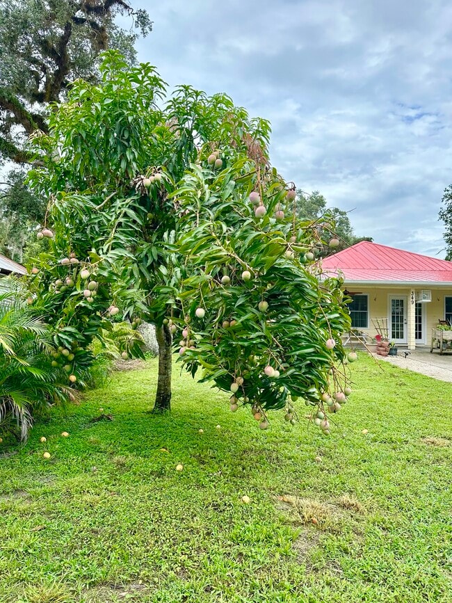 property at 349 Fraser Ave