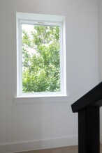 3112 Live Oak St in Houston, TX - Building Photo - Building Photo