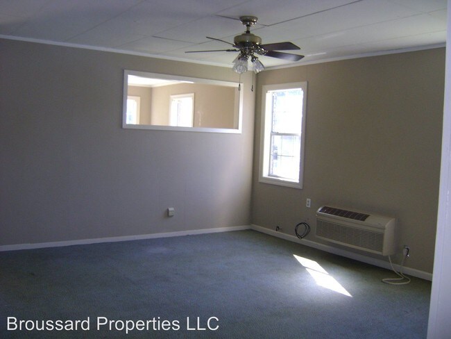 201 St Julien Ave in Lafayette, LA - Building Photo - Building Photo