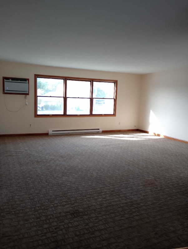 316 S Walnut St in Manteno, IL - Building Photo - Building Photo