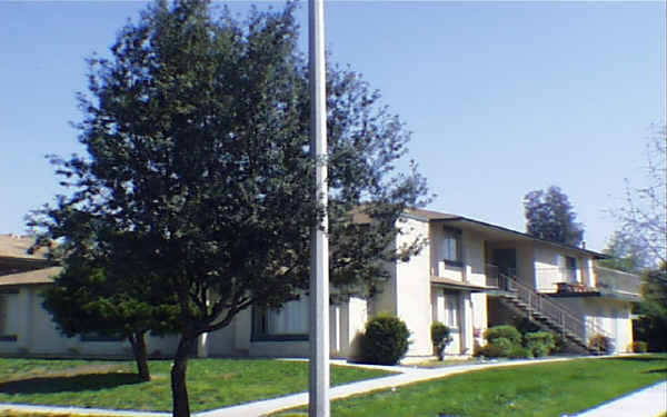 1201 Tribune St in Redlands, CA - Building Photo