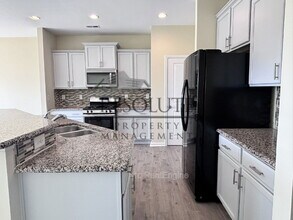 1019 Thoughtful Spot Ln in Durham, NC - Building Photo - Building Photo