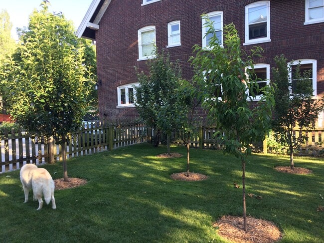 243 College Ave SE, Unit Carriage House in Grand Rapids, MI - Building Photo - Building Photo