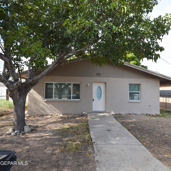 133 Elvira Way in El Paso, TX - Building Photo