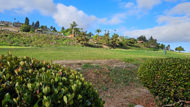property at 2639 Pirineos Way