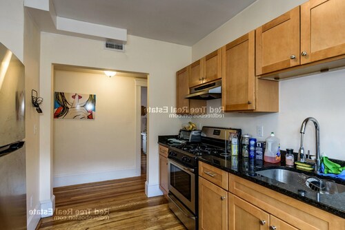 229 Chestnut Hill Ave-Unit -T01 in Boston, MA - Building Photo - Building Photo
