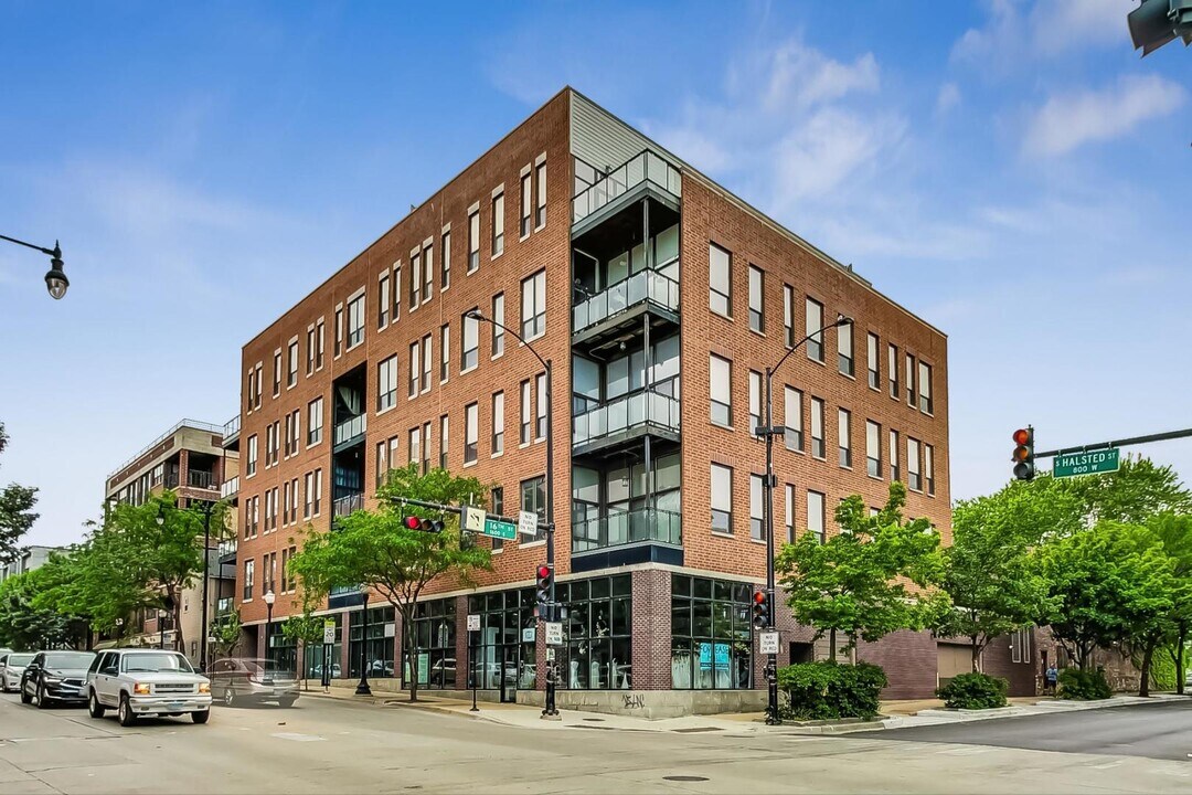 1610 S Halsted St in Chicago, IL - Building Photo
