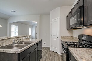 25707 Hazy Elm Ln in Porter, TX - Building Photo