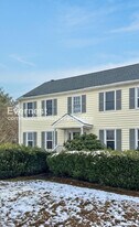 12519 Mt Blanco Ct in Chester, VA - Building Photo