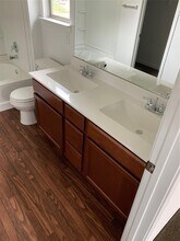 8403 Picoso Point in San Antonio, TX - Building Photo - Building Photo