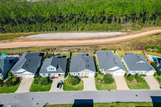 209 Windrow Way in Inlet Beach, FL - Building Photo - Building Photo