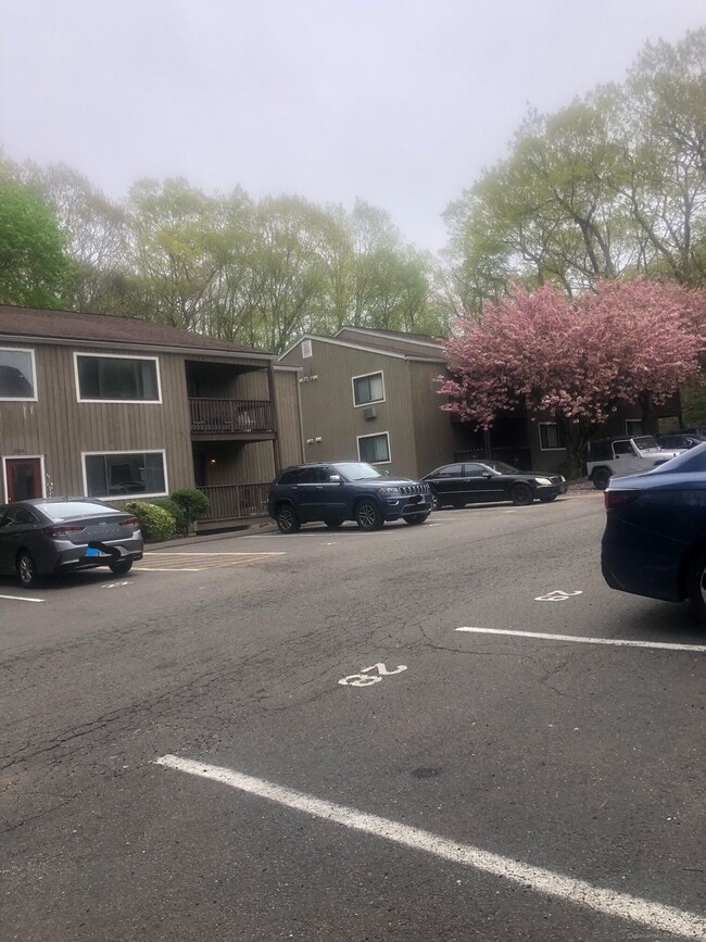 3004 Madison Ave in Bridgeport, CT - Building Photo - Building Photo