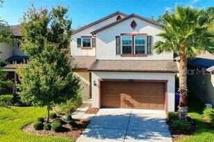 6402 Yellow Buckeye Dr in Riverview, FL - Building Photo