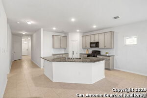 8310 Tobiano Wy in San Antonio, TX - Building Photo - Building Photo