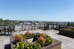 Vantage Park Apartments