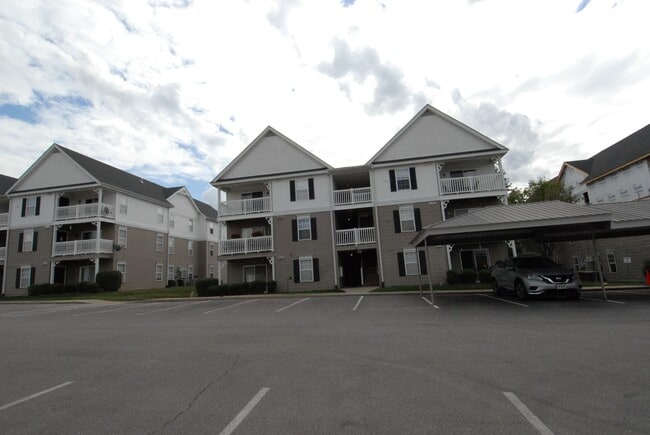 property at 5203 Spring Creek Ln