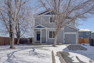10138 Elm Ct in Thornton, CO - Building Photo