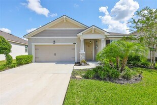 11520 Cedar Valley Dr in Riverview, FL - Building Photo