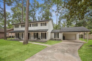 553 Cane River Ln in Conroe, TX - Building Photo
