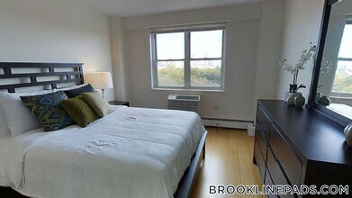 185 Freeman St, Unit 340 in Brookline, MA - Building Photo - Building Photo