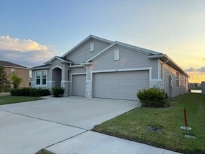 6218 Wandering Willow Dr in Wesley Chapel, FL - Building Photo - Building Photo