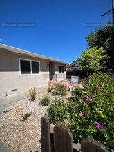50 Julian Ave in Napa, CA - Foto de edificio - Building Photo